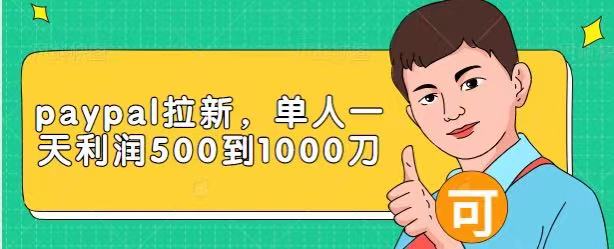 Paypal拉新赚美刀项目，单人一天利润500-1000刀【视频课程】-副业资源站 | 数域行者