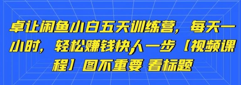 卓让闲鱼小白五天训练营，每天一小时，轻松赚钱快人一步-副业资源站 | 数域行者