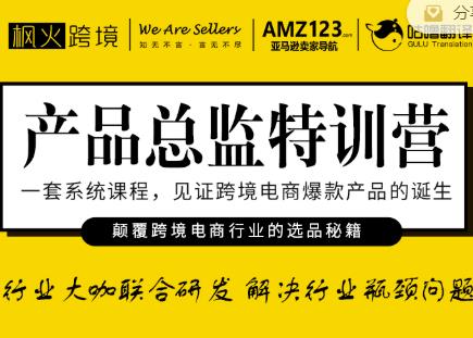 枫火跨境·产品总监特训营，行业大咖联合研发解决行业瓶颈问题-副业资源站 | 数域行者