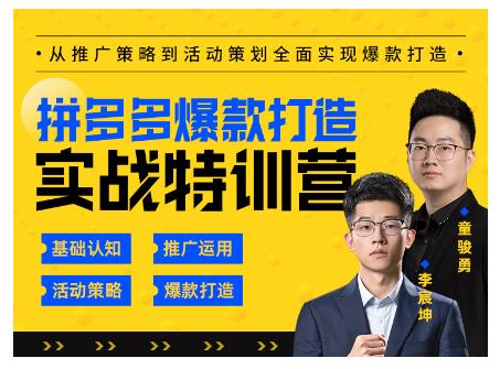 玺承云·拼多多爆款打造实战特训营，一套从入门到高手课程，让你快速拿捏拼多多-副业资源站 | 数域行者