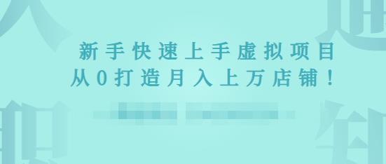 2022年虚拟项目实战指南，新手从0打造月入上万店铺-副业资源站 | 数域行者