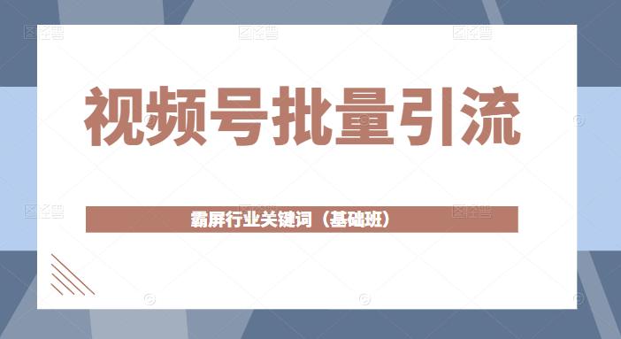 视频号批量引流，霸屏行业关键词（基础班）全面系统讲解视频号玩法-副业资源站 | 数域行者