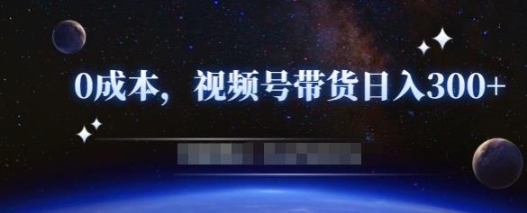 零基础视频号带货赚钱项目，0成本0门槛轻松日入300+【视频教程】-副业资源站 | 数域行者