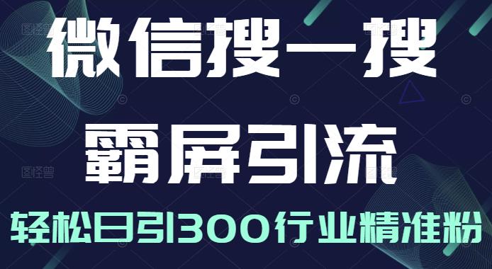 微信搜一搜霸屏引流课，打造被动精准引流系统，轻松日引300行业精准粉-副业资源站 | 数域行者