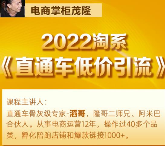 茂隆2022直通车低价引流玩法，教大家如何低投入高回报的直通车玩法-副业资源站 | 数域行者