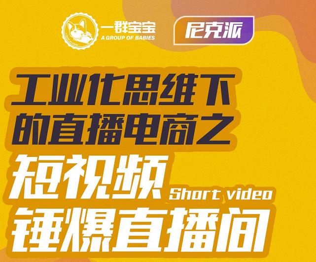 尼克派·工业化思维下的直播电商之短视频锤爆直播间，听话照做执行爆单-副业资源站 | 数域行者