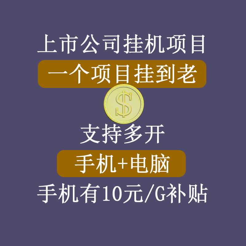 正规挂机项目，支持手机电脑一起挂，支持虚拟机多开，可以挂到老-副业资源站 | 数域行者