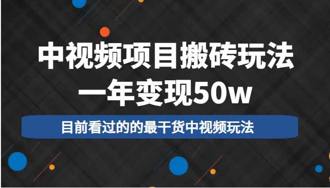 中视频项目搬砖玩法，一年变现50w，目前看过的的最干货中视频玩法-副业资源站 | 数域行者