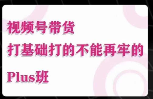 大播汇·视频号带货Puls班，视频号底层逻辑，起号自然流鱼塘等玩法-副业资源站 | 数域行者