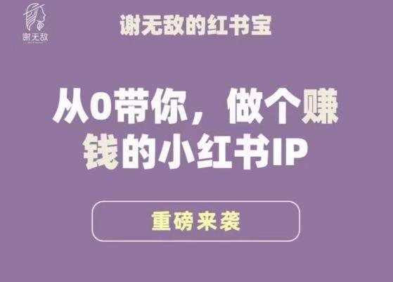 谢无敌·小红书运营大宝典，从0带你做个赚钱的小红书IP-副业资源站 | 数域行者