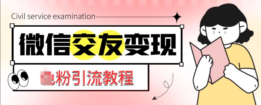 微信交友变现项目，吸引全网LSP男粉精准变现，小白也能轻松上手，日入500+-副业资源站 | 数域行者