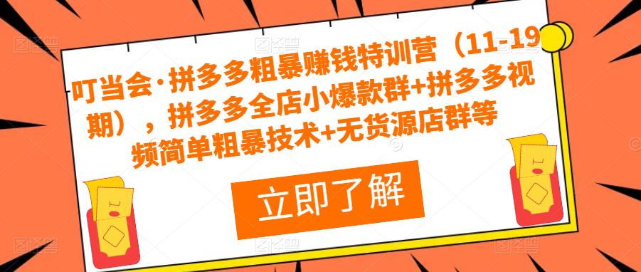 叮当会·拼多多粗暴赚钱特训营（11-19期），拼多多全店小爆款群+拼多多视频简单粗暴技术+无货源店群等-副业资源站 | 数域行者