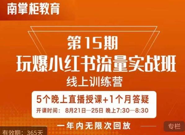 辛言玩爆小红书流量实战班，小红书种草是内容营销的重要流量入口-副业资源站 | 数域行者