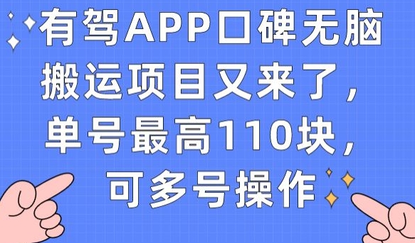 有驾APP口碑无脑搬运项目又来了，单号最高110块，可多号操作-副业资源站 | 数域行者