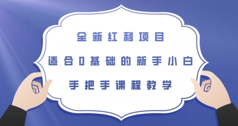 全新红利项目，适合0基础的新手小白，手把手课程教学【揭秘】-副业资源站 | 数域行者