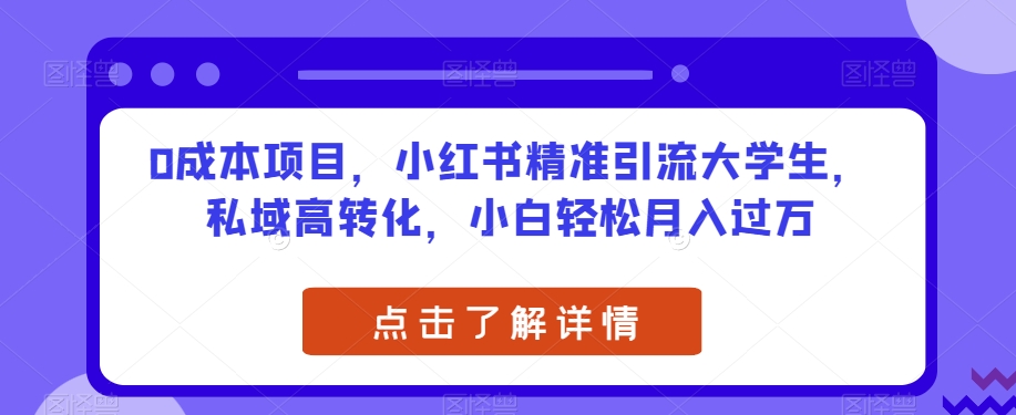 0成本项目，小红书精准引流大学生，私域高转化，小白轻松月入过万【揭秘】-副业资源站 | 数域行者