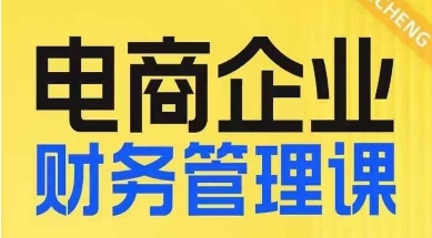 电商企业财务管理线上课，为电商企业规划财税-副业资源站 | 数域行者