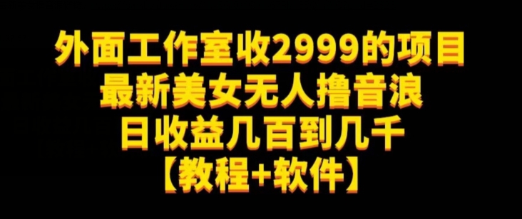 外面工作室收2999的项目最新美女无人撸音浪日收益几百到几千【教程+软件】（仅揭秘）-副业资源站 | 数域行者