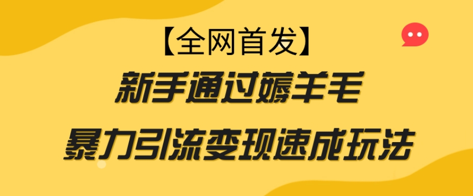 【全网首发】新手通过薅羊毛暴力引流变现速成玩法-副业资源站 | 数域行者