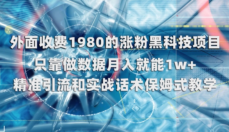 外面收费1980的涨粉黑科技项目，只靠做数据月入就能1w+【揭秘】-副业资源站 | 数域行者