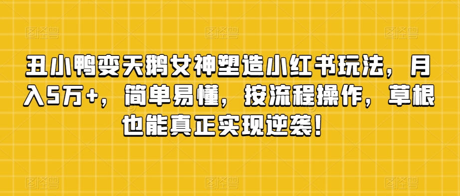 丑小鸭变天鹅女神塑造小红书玩法，月入5万+，简单易懂，按流程操作，草根也能真正实现逆袭！-副业资源站 | 数域行者