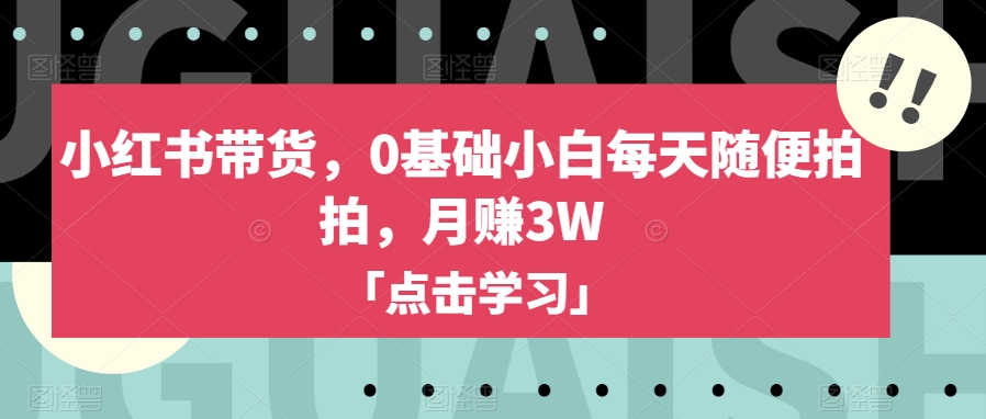 小红书带货，0基础小白每天随便拍拍，月赚3W【揭秘】-副业资源站 | 数域行者