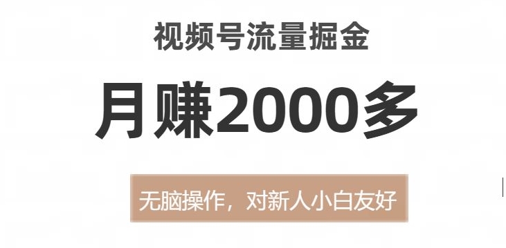 视频号流量掘金，无脑操作，对新人小白友好，月赚2000多【揭秘】-副业资源站 | 数域行者