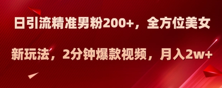 日引流精准男粉200+，全方位美女新玩法，2分钟爆款视频，月入2w+【揭秘】-副业资源站 | 数域行者