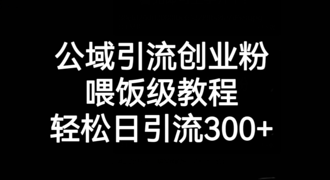 公域引流创业粉，喂饭级教程，轻松日引流300+【揭秘】-副业资源站 | 数域行者