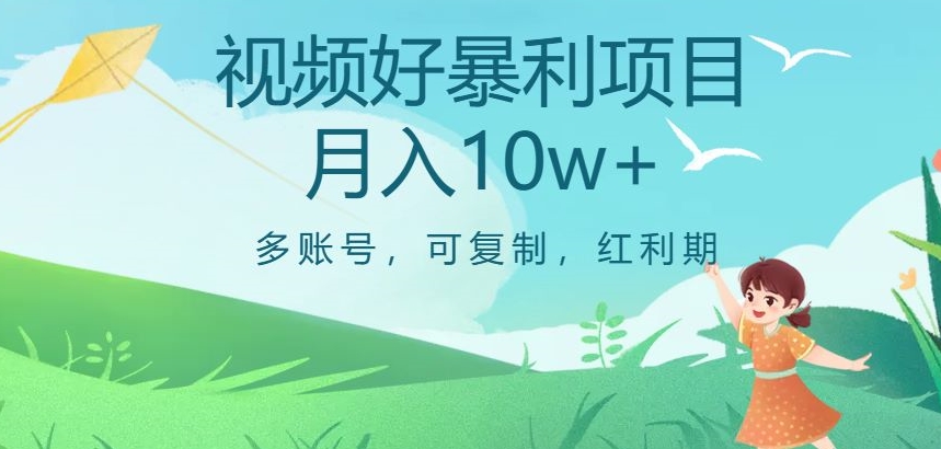 视频号暴利项目，多账号，可复制，红利期，月入10w+【揭秘】-副业资源站 | 数域行者