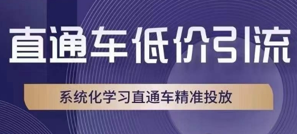 直通车低价引流课，系统化学习直通车精准投放-副业资源站 | 数域行者