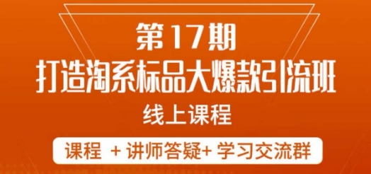 南掌柜-第17期打造淘系标品大爆款，5天线上课-副业资源站 | 数域行者