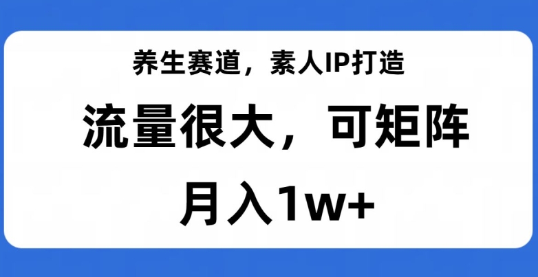 养生赛道，素人IP打造，流量很大，可矩阵，月入1w+【揭秘】-副业资源站 | 数域行者