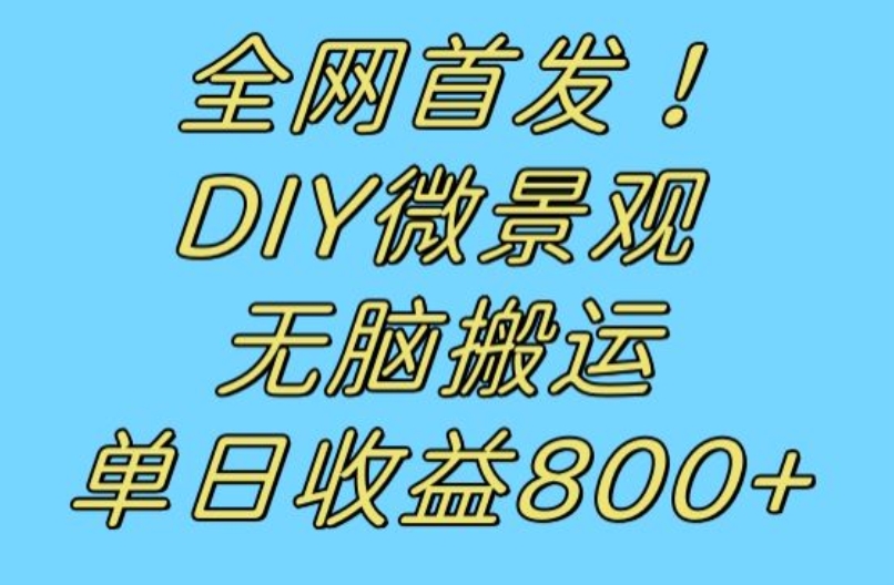 全网首发冷门赛道！DIY微景观，无脑搬运视频，日收益800+【揭秘】-副业资源站 | 数域行者