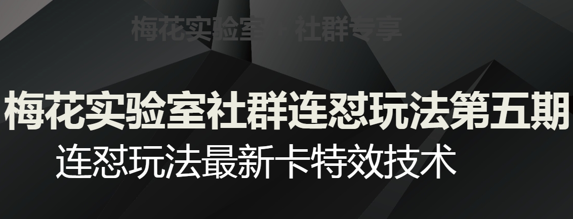 梅花实验室社群连怼玩法第五期，视频号连怼玩法最新卡特效技术-副业资源站 | 数域行者