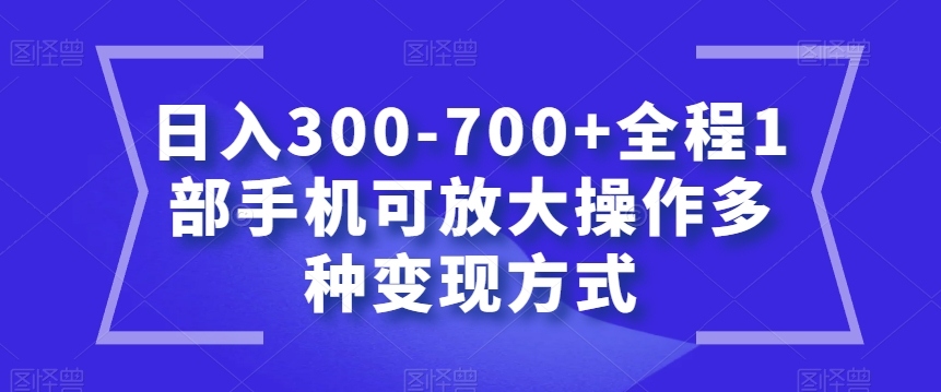 日入300-700+全程1部手机可放大操作多种变现方式【揭秘】-副业资源站 | 数域行者