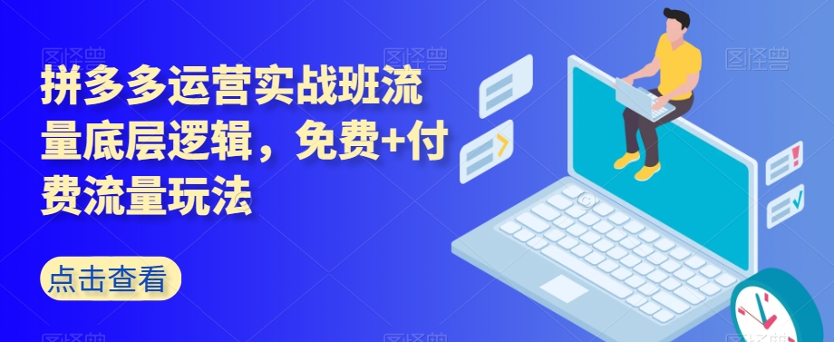 拼多多运营实战班流量底层逻辑，免费+付费流量玩法-副业资源站 | 数域行者