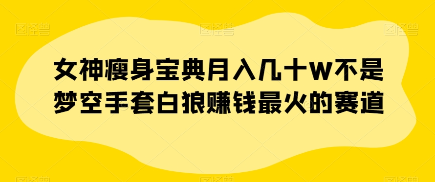 女神瘦身宝典月入几十W不是梦空手套白狼赚钱最火的赛道【揭秘】-副业资源站 | 数域行者