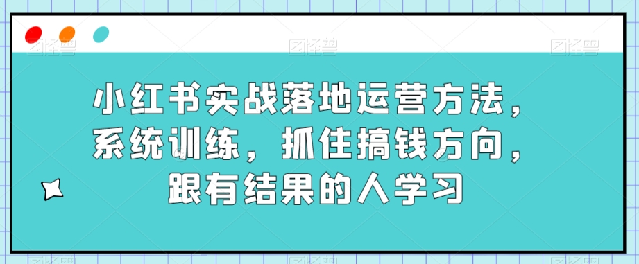 小红书实战落地运营方法，系统训练，抓住搞钱方向，跟有结果的人学习-副业资源站 | 数域行者