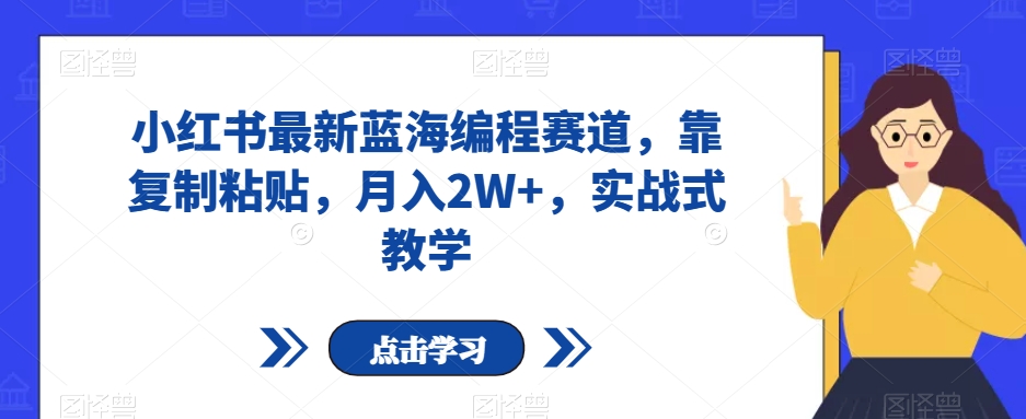 小红书最新蓝海编程赛道，靠复制粘贴，月入2W+，实战式教学【揭秘】-副业资源站 | 数域行者