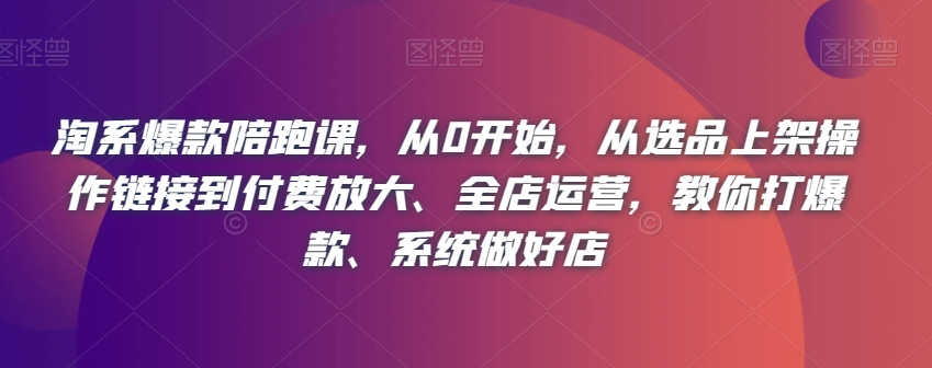 淘系爆款陪跑课，从0开始，从选品上架操作链接到付费放大、全店运营，教你打爆款、系统做好店-副业资源站 | 数域行者