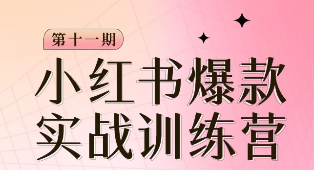 小红书博主爆款训练营第11期，手把手教你从0-1做小红书，从定位到起号到变现-副业资源站 | 数域行者