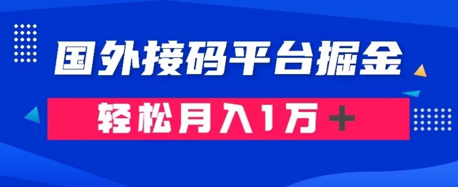 通过国外接码平台掘金：成本1.3，利润10＋，轻松月入1万＋【揭秘】-副业资源站 | 数域行者