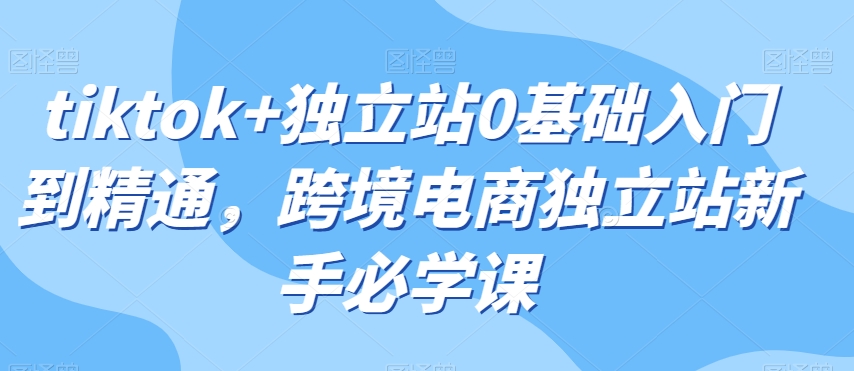 tiktok+独立站0基础入门到精通，跨境电商独立站新手必学课-副业资源站 | 数域行者