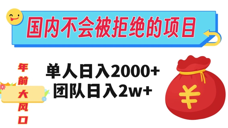 在国内不怕被拒绝的项目，单人日入2000，团队日入20000+【揭秘】-副业资源站 | 数域行者