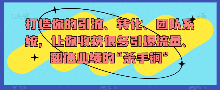 打造你的引流、转化、团队系统，让你收获很多引爆流量、翻倍业绩的“杀手锏”-副业资源站 | 数域行者