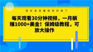 每天观看30分钟视频，一月躺赚1000+美金！保姆级教程，可放大操作【揭秘】-副业资源站 | 数域行者