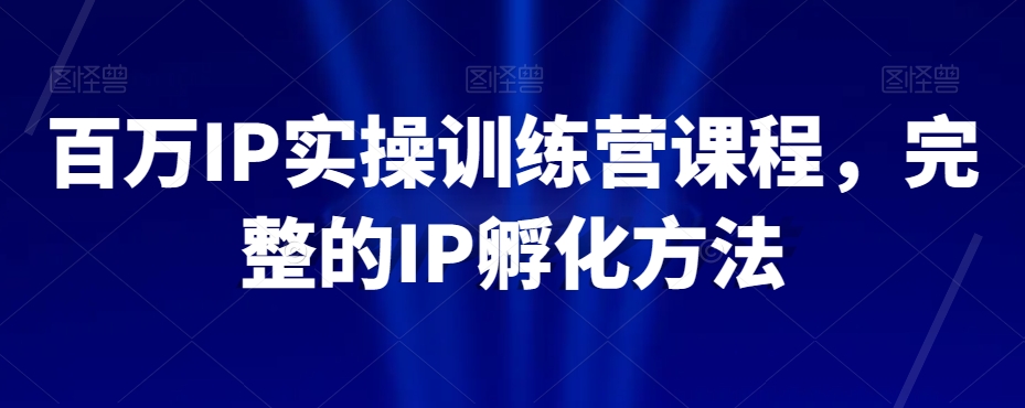 百万IP实操训练营课程，完整的IP孵化方法-副业资源站 | 数域行者