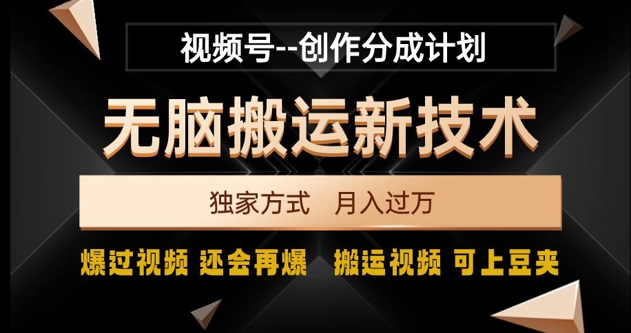 视频号无脑搬运新技术，破原创壕流量，独家方式，爆过视频，还会再爆【揭秘】-副业资源站 | 数域行者