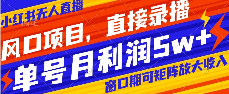 风口项目，小红书无人直播带货，直接录播，可矩阵，月入5w+【揭秘】-副业资源站 | 数域行者